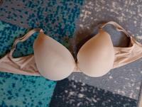 Seamless Schalen-BH 80D in Nude/Beige mit Cornflower-Anhänger Sachsen - Radeberg Vorschau