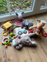 Spielzeugpaket Baby Niedersachsen - Sassenburg Vorschau