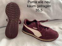 Puma sneaker 35,5 Bordeaux 2x getragen wie neu Nordrhein-Westfalen - Petershagen Vorschau
