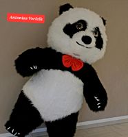 Maskottchen Pandabär mieten/leihen ab 40€ Nordrhein-Westfalen - Greven Vorschau