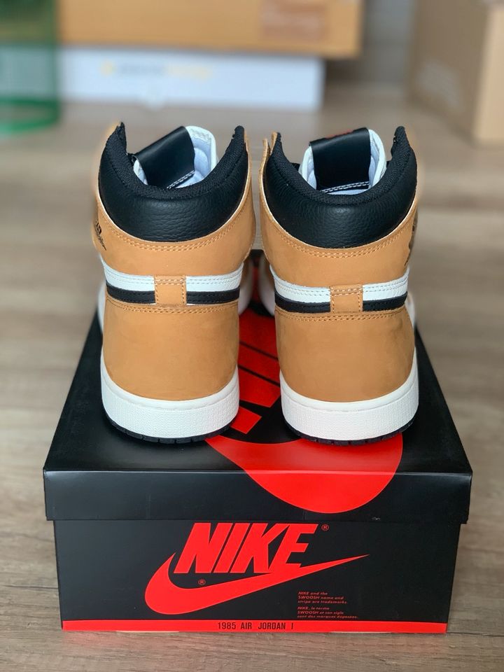 Air Jordan 1 Retro High OG Rookie of the Year 45.5 US 11.5 ROTY in Berlin