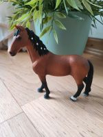 Schleich Trakehner Stute 13757 von 2013 Nordrhein-Westfalen - Lindlar Vorschau