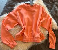 Crop Top Pullover Größe M Farbe Coralle NEU Hessen - Bruchköbel Vorschau