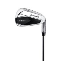 TAYLORMADE Qi10 HL EISEN - CUSTOM OPTION Nordrhein-Westfalen - Salzkotten Vorschau