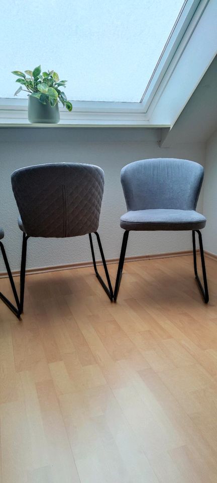 Stühle mit Metallbeinen in Hamburg
