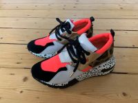 Steve Madden Cliff Turnschuhe Gr. 37 Nordrhein-Westfalen - Bottrop Vorschau