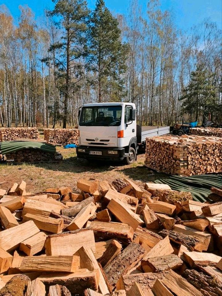 Brennholz Kaminholz Eiche TROCKEN nur 74,99 EUR/SRM - AKTION!!! in Lebus