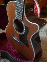 Taylor 414ce-LTD Limited Edition Rosewood 2022 Sinker Redwood Niedersachsen - Wilhelmshaven Vorschau