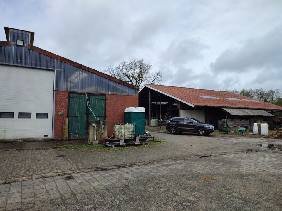 Ca. 9,5 Hektar landwirtschaftliche Fläche mit Stallungen in Ostrhauderfehn zu verkaufen in Ostrhauderfehn