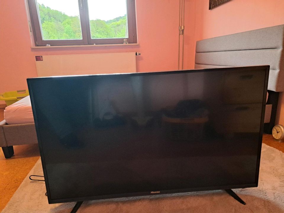 Fernseher Hisense + Amazon Stick in Hofbieber