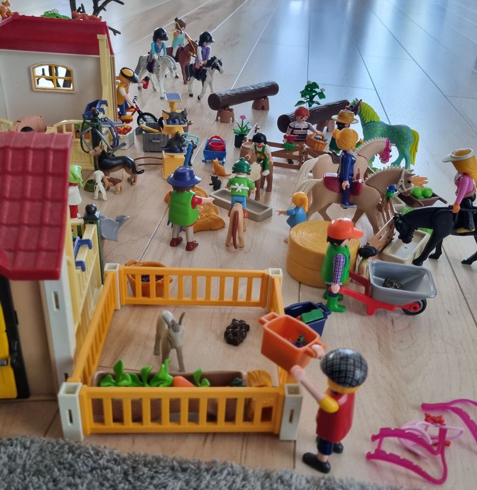 Playmobile Bauernhof mit diversen Figuren in Rastatt
