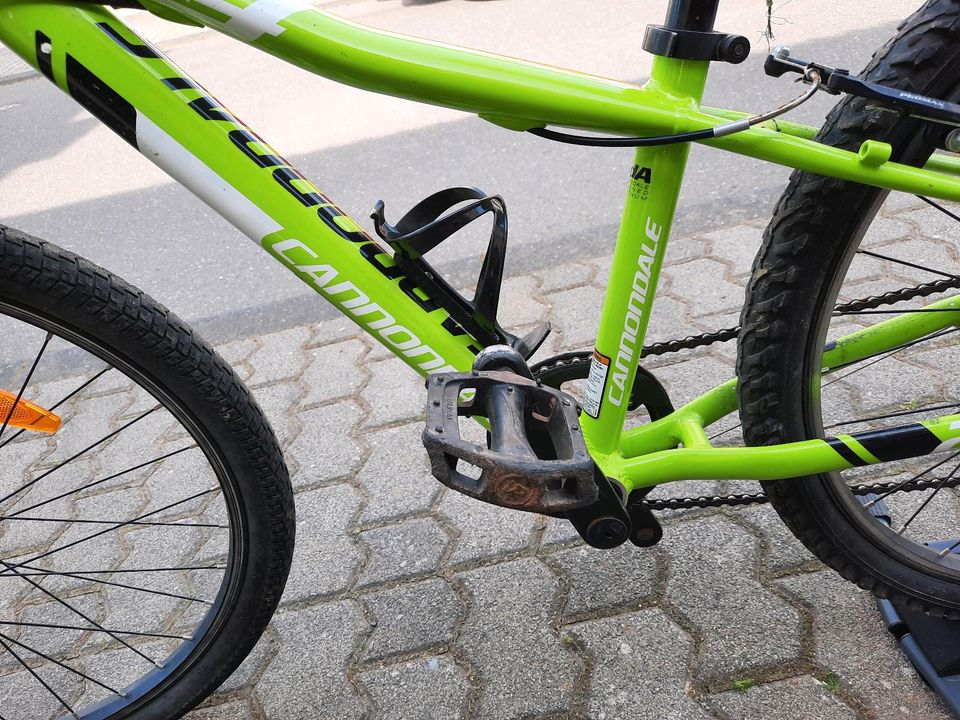 Fahrrad Connondale 24 Zoll Kinder in Idar-Oberstein