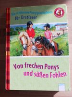 Die schönsten Ponygeschichten für Erstleser Rheinland-Pfalz - Hirz-Maulsbach Vorschau