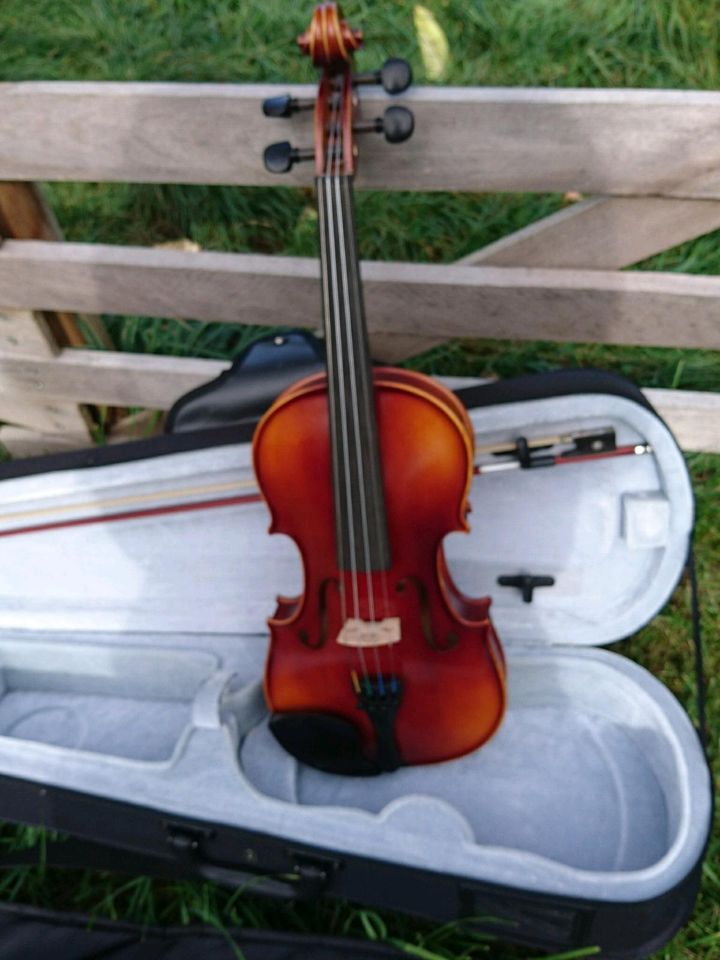 Geige 4/4, Gewa Allegro in Schladt