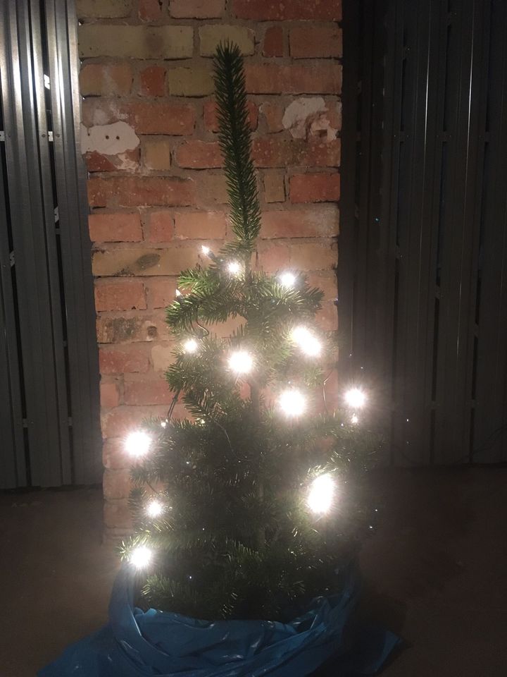 Weihnachtsbaum in Dresden