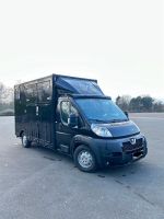 Peugeot Boxer Pferdetransporter 2 Pferde   3,5 Tonnen Nordrhein-Westfalen - Haltern am See Vorschau