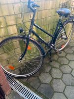 Damen Fahrrad capriolo Niedersachsen - Rötgesbüttel Vorschau