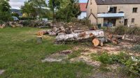 Stammholz - gefällte Bäume Nordrhein-Westfalen - Bad Salzuflen Vorschau