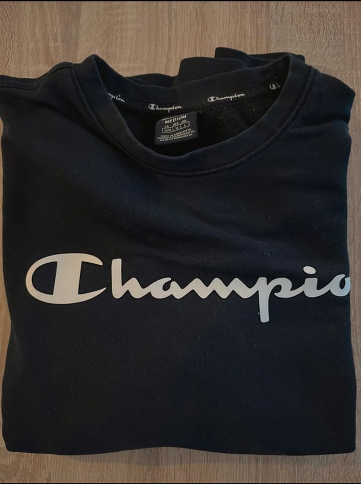 Champion Sweatshirt in Delmenhorst