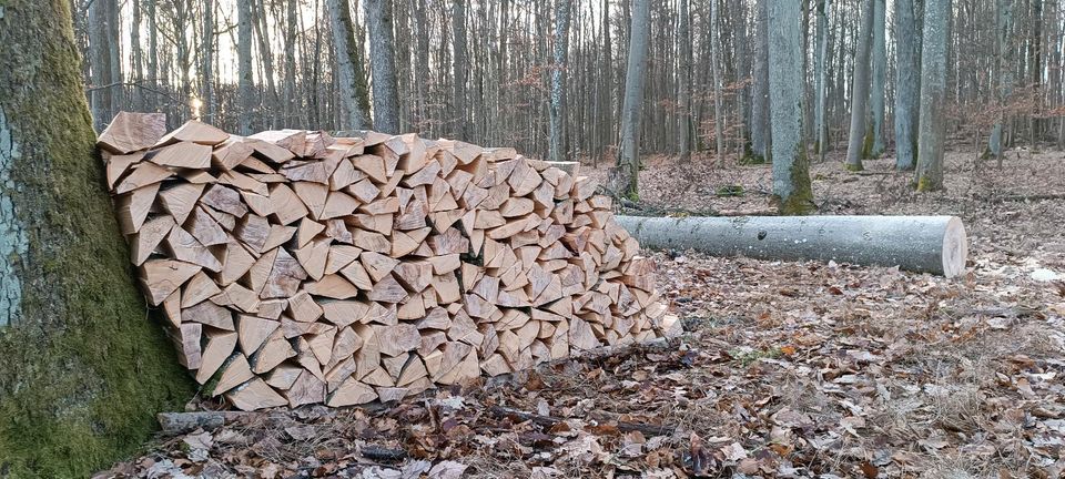 Brennholz Buche pro Ster, 25cm Länge (kein Schüttraum) in Wasserlosen