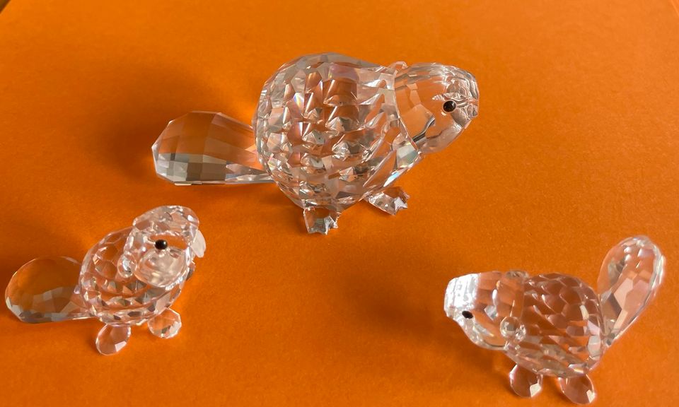 SWAROVSKI Bibermutter und zwei Biberjunge in Stolpe