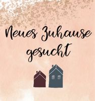 Neues Zuhause gesucht Nordrhein-Westfalen - Marl Vorschau