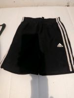 Adidas Shorts Gr.M Baden-Württemberg - Kenzingen Vorschau