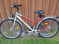 Fahrrad 26 Zoll Niedersachsen - Ostercappeln Vorschau