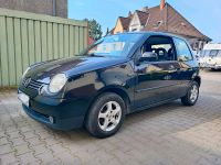 VW LUPO RAVE 2004 • SCHWARZ • TÜV NEU • KLIMA • ROSTFREI • 8 FACH Nordrhein-Westfalen - Hamm Vorschau