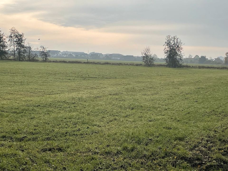 Ackerland zuverkaufen in Neustadt am Rübenberge