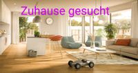 4-Zimmer Wohnung/Haus gesucht Lübeck - St. Gertrud Vorschau