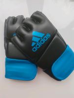 Training MMA Sachsen-Anhalt - Magdeburg Vorschau