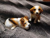 Porzellan Hunde Terrier und Beagle Deko Rheinland-Pfalz - Zweibrücken Vorschau