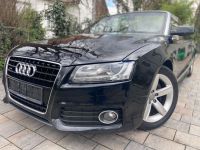 Audi A5 3.0 TDI quattro Cabrio-S-Line-1.Hand-S.Heft Niedersachsen - Wathlingen Vorschau