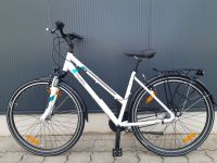 PEGASUS Piazza 7 Damen Cityfahrrad 28" Rh: 45,50,55 cm Nordrhein-Westfalen - Dorsten Vorschau