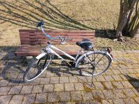 Damenfahrrad Thüringen - Saalfeld (Saale) Vorschau