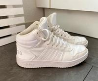 Adidas high Sneaker Basketball Lindenthal - Köln Lövenich Vorschau