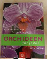 Orchideen Ratgeber/Pflanze Portrait Rheinland-Pfalz - Bad Kreuznach Vorschau