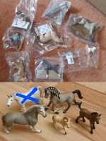 15 Schleich Pferde Reiterin Tiere Sammlung OVP Collecta Delfin Hessen - Wölfersheim Vorschau