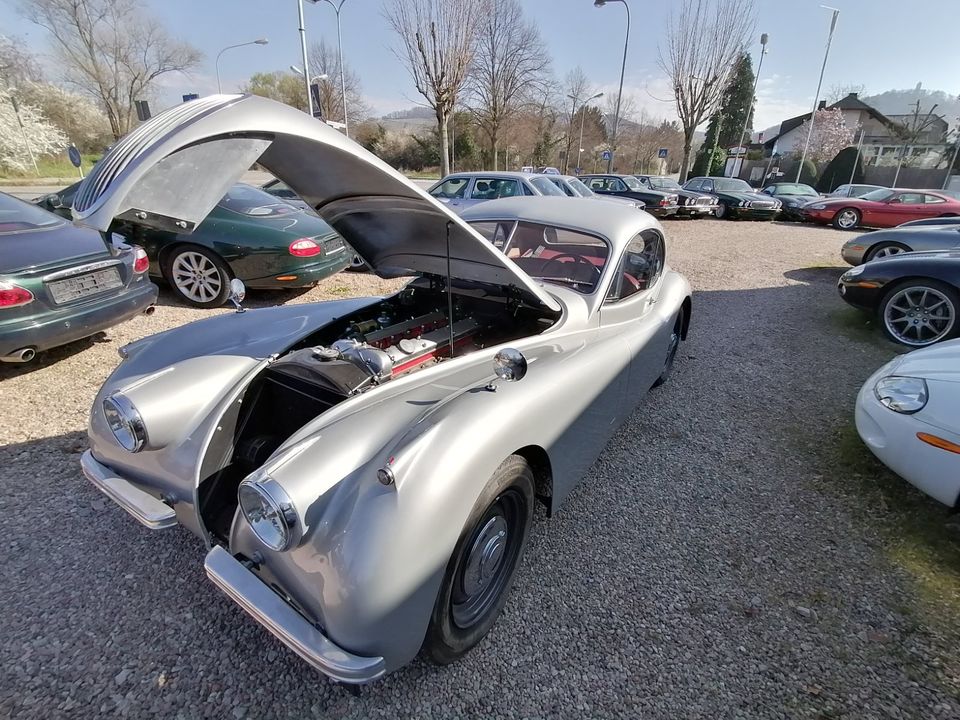 Jaguar XK 120 FHC SE Coupé 1954 in Heidelberg