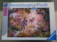 Ravensburger Puzzle 1000 Teile "Wolfsfamilie im Sommer" Bayern - Arzberg Vorschau