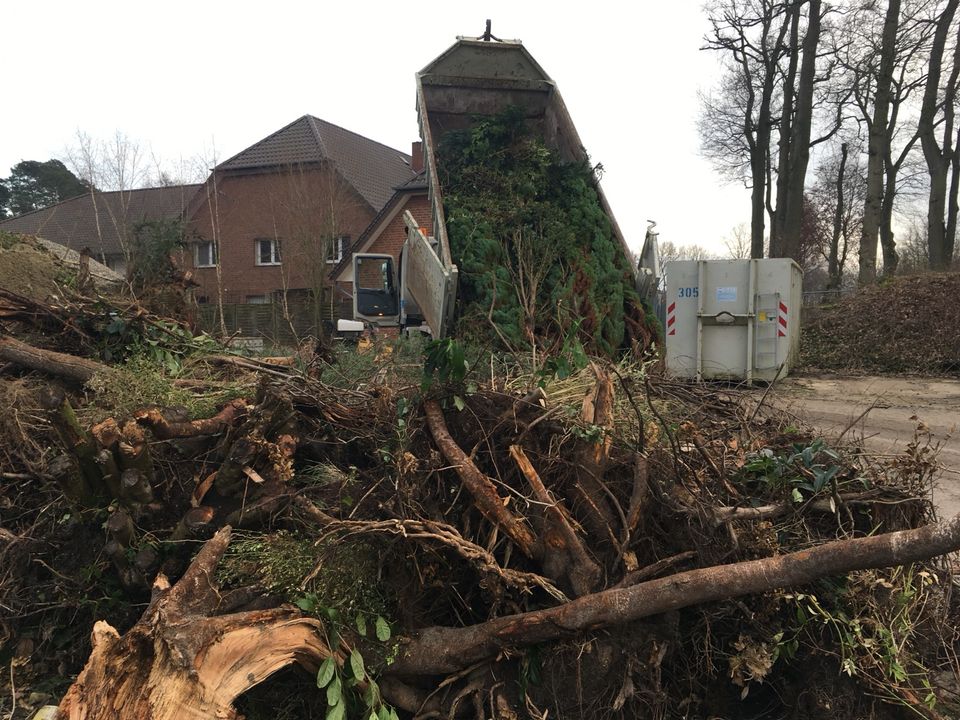 Annahme von Bauschutt Betonaufbruch Grünschnitt Wurzeln Ziegel in Schloß Holte-Stukenbrock