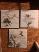 3 Bilder Blumen Serie Klövsjö von Ikea 25 x 25 cm Keilrahmen Niedersachsen - Cremlingen Vorschau