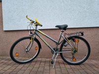 Fahrrad 26 Zoll Hessen - Heringen (Werra) Vorschau