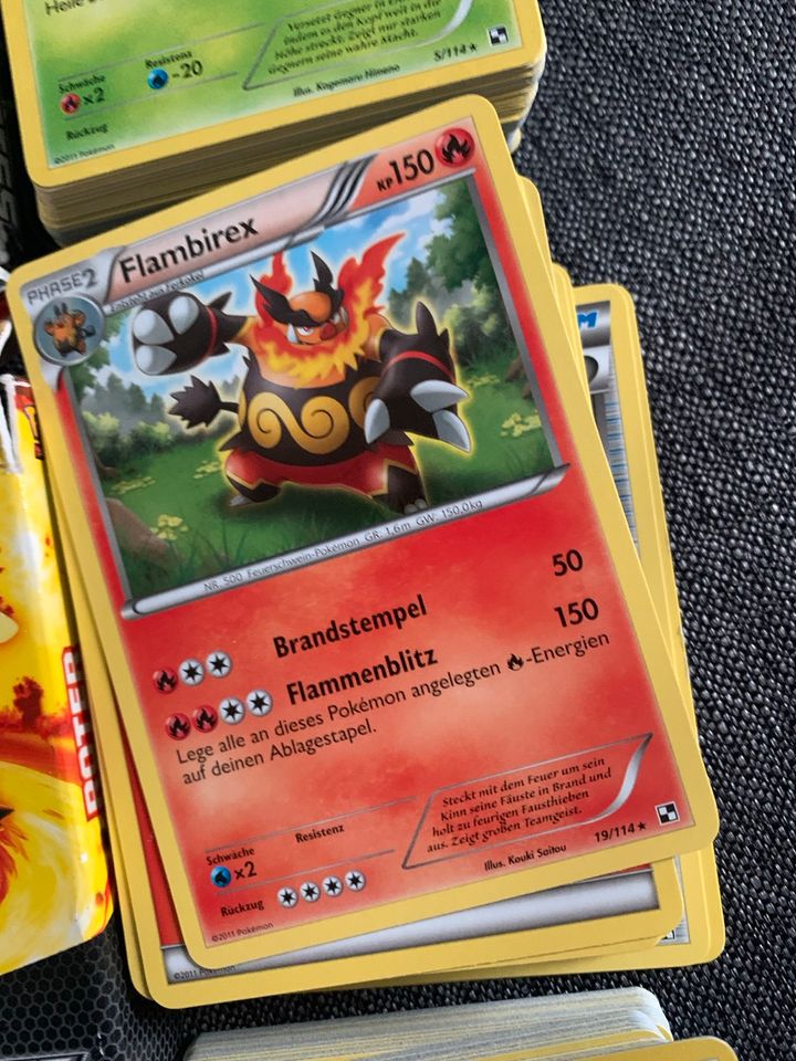 Pokemon TCG Schwarz und Weiss Decks sehr guter Zustand in Saarbrücken