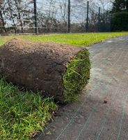 Rollrasen|Rollrasen verlegen in Münster Münster (Westfalen) - Wolbeck Vorschau