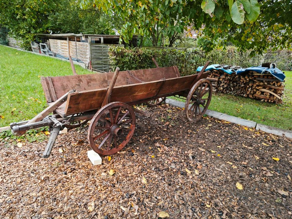 Holzwagen antik  in gutem Zustand in Eschau