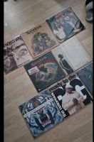 Vinyl Schallplatten Alligator Kontra k Sammlung Nordrhein-Westfalen - Hamm Vorschau