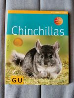 Chinchillas Bayern - Neufahrn Vorschau