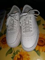 Schuhe Leder Marke"Clarks" neu Nordrhein-Westfalen - Paderborn Vorschau